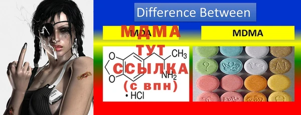 стаф Надым