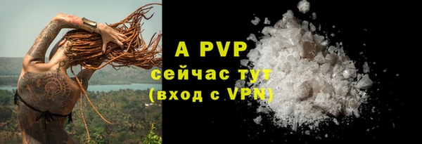 прущая мука Нея