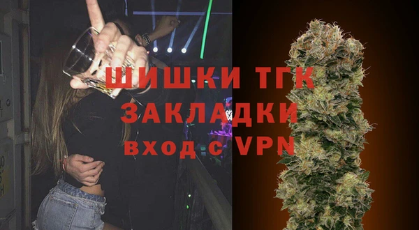 стаф Надым