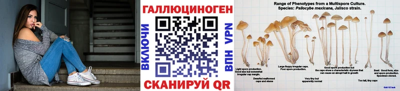 Псилоцибиновые грибы мицелий  KRAKEN зеркало  Нариманов 