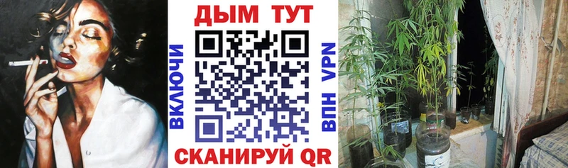 МАРИХУАНА семена  Нариманов 